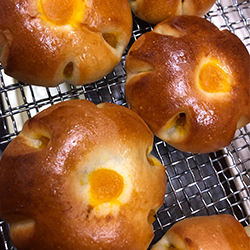 かぼちゃあんぱん